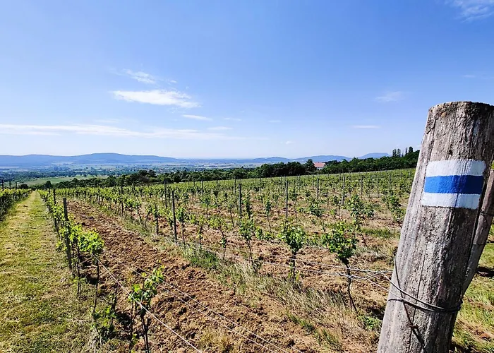 Appartamento Batthyányi Villapark – Thermal Valley *